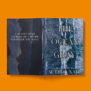 A moody and atmospheric book cover featuring a split ocean view with deep blue tones. The typography for "The Ocean Gray" is metallic and textured, reinforcing the theme of mystery and depth.